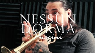 Nessun Dorma  Cornet  Paul de Stexhe [upl. by Eimorej655]