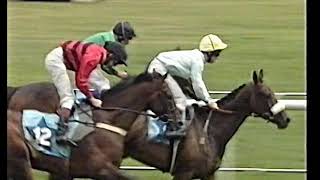 1996 Northumberland Plate Celeric Includes Replay [upl. by Kettie649]