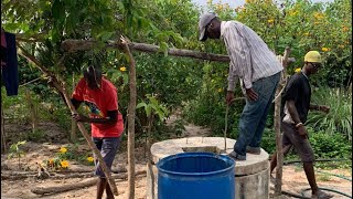 Permaculture Food Forest Tour  Africa gambia [upl. by Kcirrek]