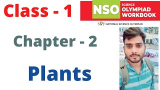 NSO National Science Olympiad  Class  1  C  2  Plants  2024 25 [upl. by Oiciruam]