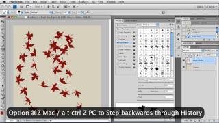 Brushes 5  Dual Brush  Photoshop Tutorial [upl. by Ahsataj]