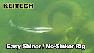 Easy Shiner No Sinker Rig [upl. by Okimat]