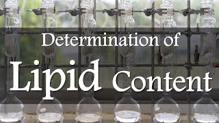 Determination of Lipid Content of Foods by Soxhlet [upl. by Sung549]