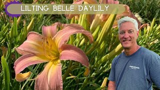 GIANT LAVENDER BEAUTY  Lilting Belle Daylily [upl. by Aronoh]