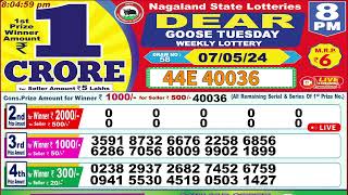 Dear goose tuesday weekly lottery 8PM 07052024 [upl. by Annoyed959]