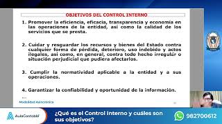 ¿Qué es el Control Interno y cuáles son sus objetivos  DIP CONTROL INTERNO [upl. by Dnana39]