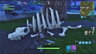 Fortnite  Un Squelette dAnimal retrouvé au Portail de Moisty Mire [upl. by Acirne]