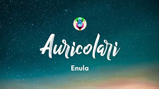 Enula  AURICOLARI TestoLyrics [upl. by Olumor]