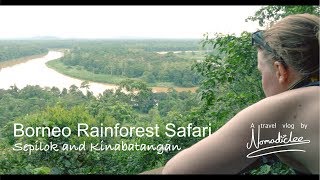 Borneo Rainforest Safari  Sepilok and Kinabatangan [upl. by Holub191]