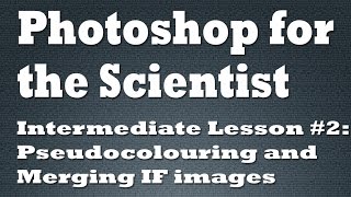 Pseudocolouring and Merging IF images in Photoshop [upl. by Oakman634]