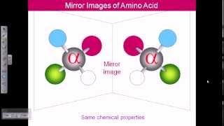 Amino acid structures part 1 [upl. by Nagem]