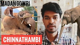 Chinna Thambi Issue  Tamil  Madan Gowri  Elephant [upl. by Nagear]