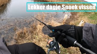 Snoek Vissen Met Eigen Softbaits [upl. by Elspeth]