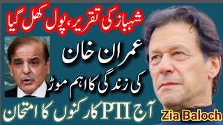 First Test of PTI Workers Protests in 3 cities  Shahbazs speech exposed  Zia Balochs VLOG [upl. by Llerdnad168]