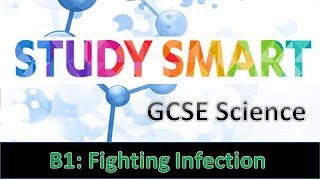 B1 Fighting Infection EDEXCEL [upl. by Babs605]