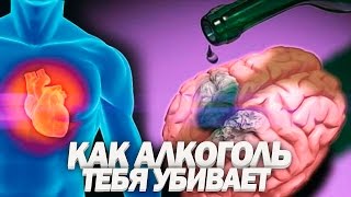 ВЛИЯНИЕ АЛКОГОЛЯ НА ОРГАНИЗМ  Почему 90 Людей Уже Алкоголики [upl. by Sherard]