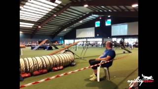 WMQuali 2016 290516  Sascha Grunder amp Inuk  Agility M3 [upl. by Amandi561]