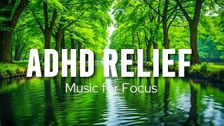 ADHD Relief Music For better Concentration  Deep Focus Music  Music for Work and studying 🌿 [upl. by Ahsikan613]