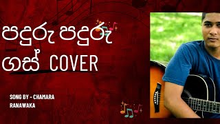 Paduru Parudu gas පදුරු පදුරු ගස්  sinhala cover song  song by  Chamara Ranawaka 😚💗 [upl. by Renat882]