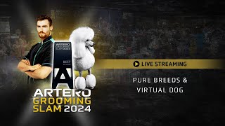 Pure Breeds amp Virtual Dog  Saturday Afternoon  Live Artero Grooming Slam 2024 [upl. by Landing898]