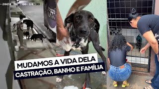 RESGATAMOS UMA CADELINH4 NO CI0 QUE ESTAVA SENDO INCOMODADA POR 2 CACHORRÕES 😭😖💔 [upl. by Akeylah]