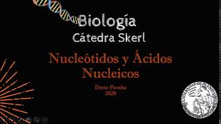 05 Nucleotidos y Ácidos nucleicos [upl. by Lleraj]