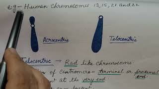 Types of Chromosome In HINDI For CSIR NET and NEET [upl. by Otsenre]