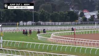 Flemington Jump Outs 9 August 2024 Jump Out 1 [upl. by Sinnaoi]