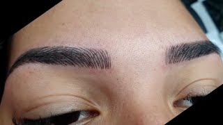 Micropigmentação  Microblading  Sobrancelha Fio a Fio Passo a Passo Feito com Tebori Sem Dor [upl. by Maleen406]