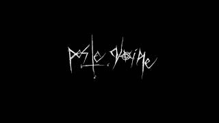 Peste Noire  Le dernier putsch Cover  Tab [upl. by Novar]