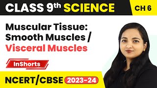 Muscular Tissue Smooth Muscles  Visceral Muscles  Class 9 Biology Chapter 6  Tissues [upl. by Jaime993]