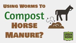 Vermicomposting Horse Manure Is It a Good Idea [upl. by Nylyahs931]