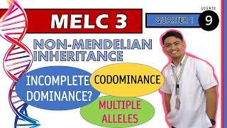 NonMendelian Patterns of Inheritance  Week 5  SCIENCE 9  QUARTER 1 MELC 3 [upl. by Nommad]