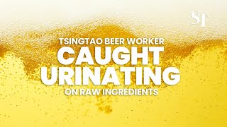 Worker caught urinating on Tsingtao beer raw ingredients [upl. by Magena878]