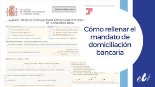 🖊 Cómo rellenar el mandato de domiciliación bancaria [upl. by Dudley378]