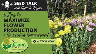 Seed Talk 84  6 Tips to Maximize Flower Production  An Exciting Announcement [upl. by Wun]