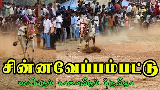 சின்னவேப்பம்பட்டு மாபெரும் காளைவிடும் திருவிழா 26 02 2024 [upl. by Ayatnohs]