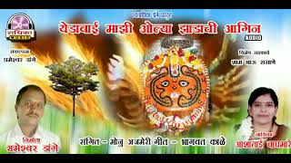 Yedu Walya Zadachi Aaginयेडू वल्या झाडाची आगीन Radhika Music Present [upl. by Sinegold]