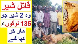 135 Logun Ko Marnay Walay SHER  Story of Tsavo Lions [upl. by Yrtnej]