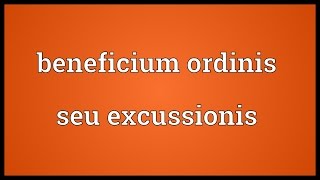 Beneficium ordinis seu excussionis Meaning [upl. by Sibeal911]