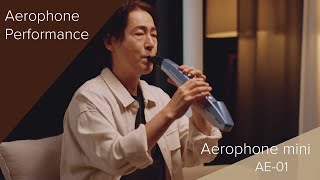 Roland Aerophone mini AE01 Performance [upl. by Jakie]