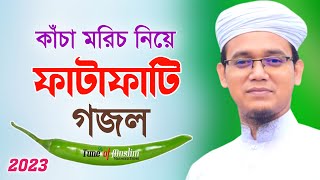 কাঁচা মরিচ নিয়ে ফাটাফাটি গজল Kacha Morich  Kalarab Ghazal  Kolorob Gojol  Ghazal  Islamic Song [upl. by Barger]