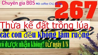 Chuyên gia BĐS nói về thừa kế đất trồng lúa các con đều không làm ruộng xử lý thế nào từ ngày 18 [upl. by Niryt666]