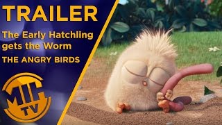 The Angry Birds Movie  Trailer The Early Hatchling Gets the Worm short [upl. by Aneeuqal899]