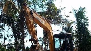 Gagahnya excavator sibuk bekerja shorts tanamanviral excavator [upl. by Ahsiuqat]