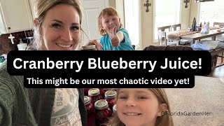 Canning More Cranberry Juice and answering a few questions [upl. by Hyo]