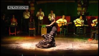 Espectáculo Flamenco en Sevilla  Tablao Flamenco El Palacio Andaluz [upl. by Gaudette]