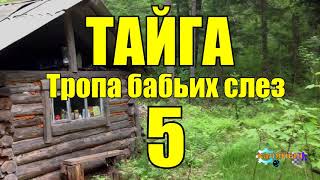 ОТШЕЛЬНИКИ  ЖИЗНЬ В ТАЙГЕ 5 из 16 [upl. by Lessirg]