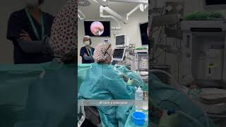 Servicio de Otorrinolaringología de Olympia Endoscopia de oído medio [upl. by Pyle731]