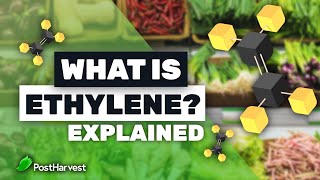 What is Ethylene [upl. by Drye]